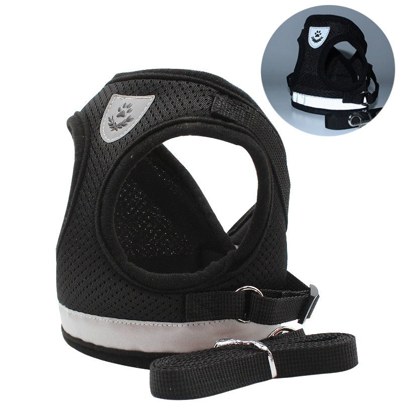 Harness/Leash Set