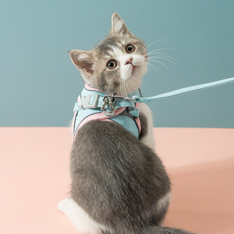 Harness/Leash Set