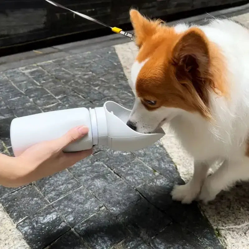 Silicone Foldable Water Bottle Dispenser