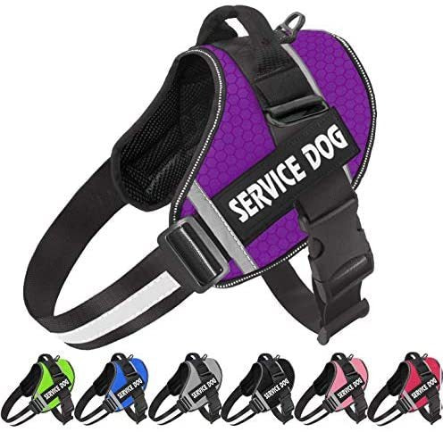 Velcro Patch Harness