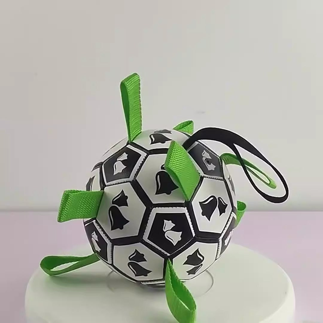 Dog soccer ball with grab tabs