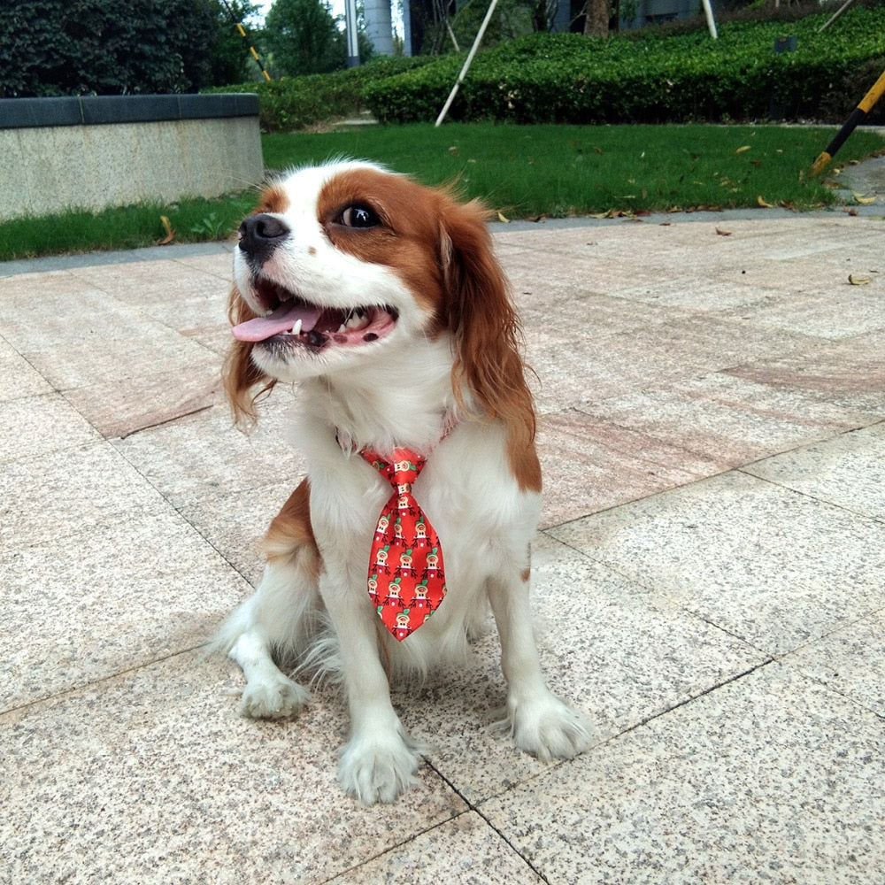 10pcs/Pack Pet Neck Tie