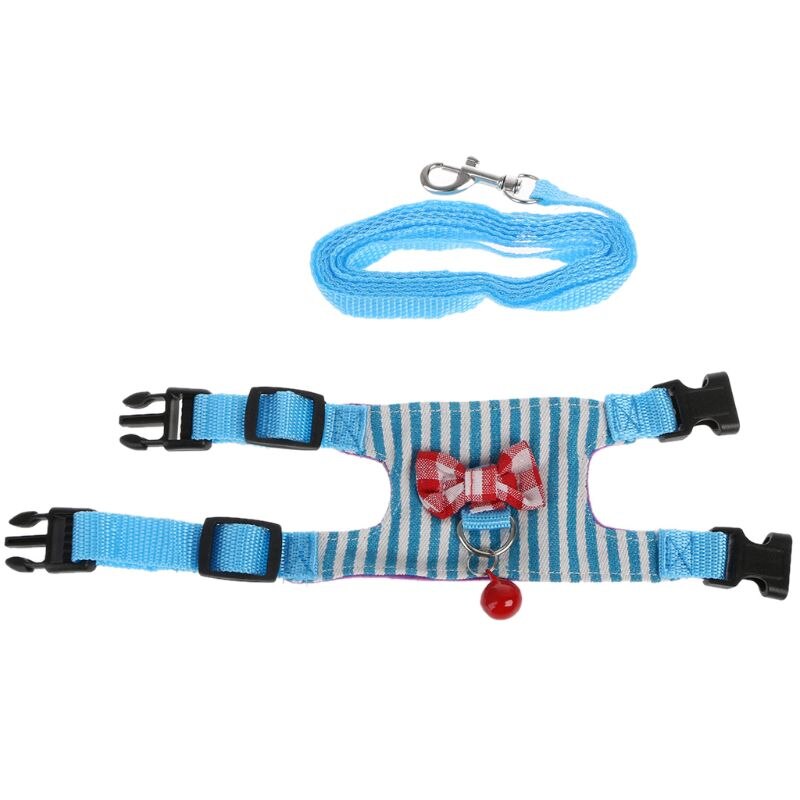 Small Animal Harness/Leash Set