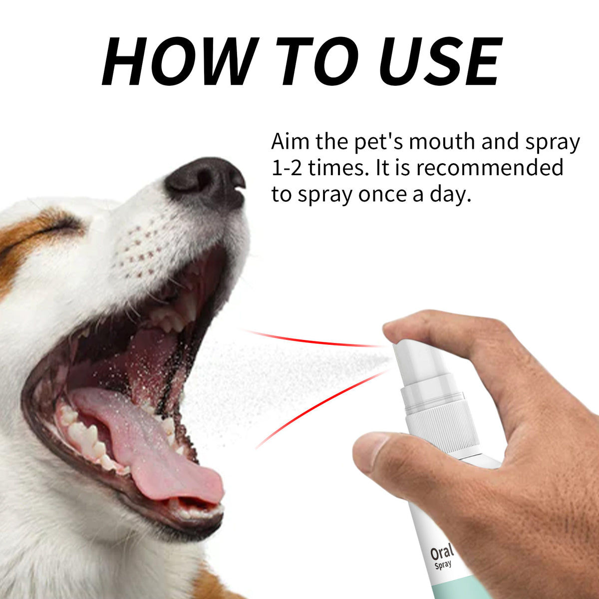 Mint Fresh Breath Spray