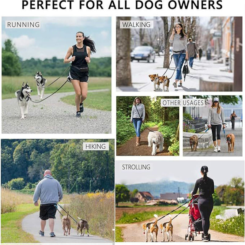 2 dog jogging waist leash