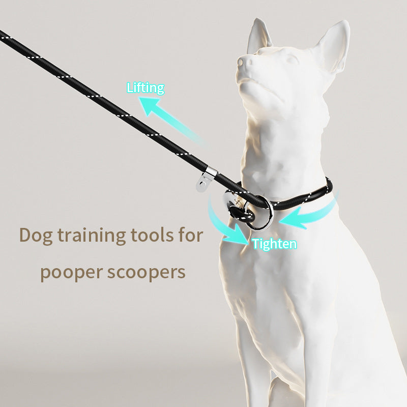 Dog Slip Lead with Flashlight/Bag Holder
