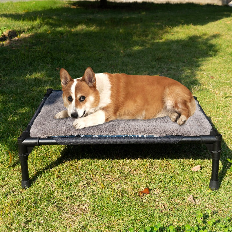 Raised Pet Bed