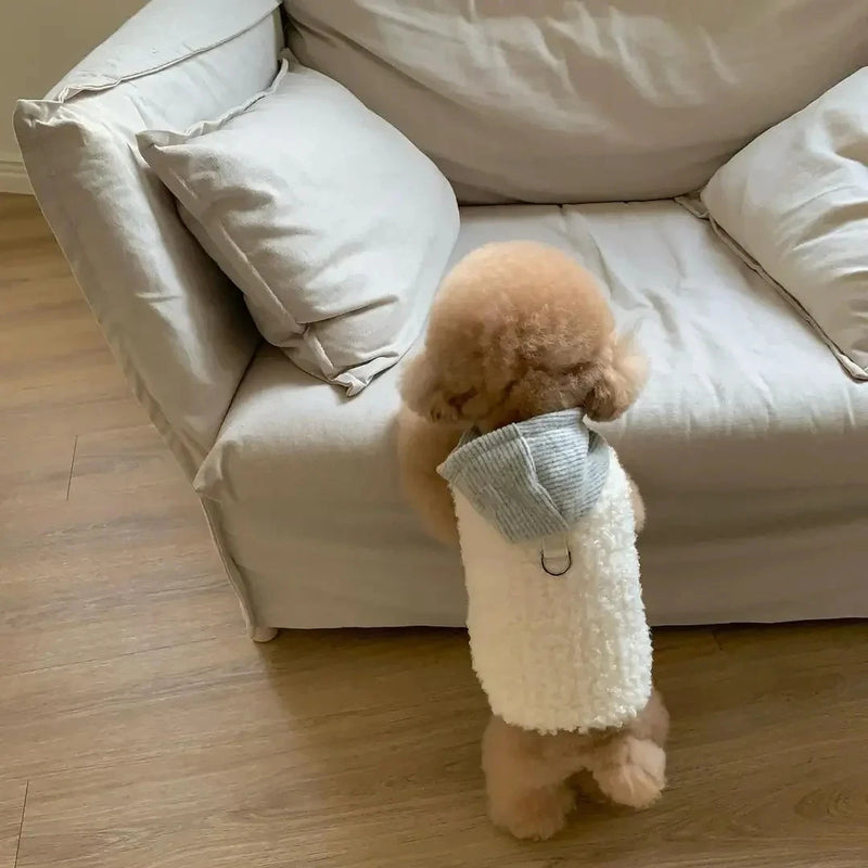 Warm Hoodie