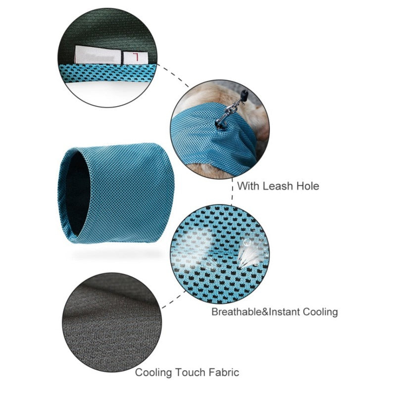 Summer Pet Cooling Bandana