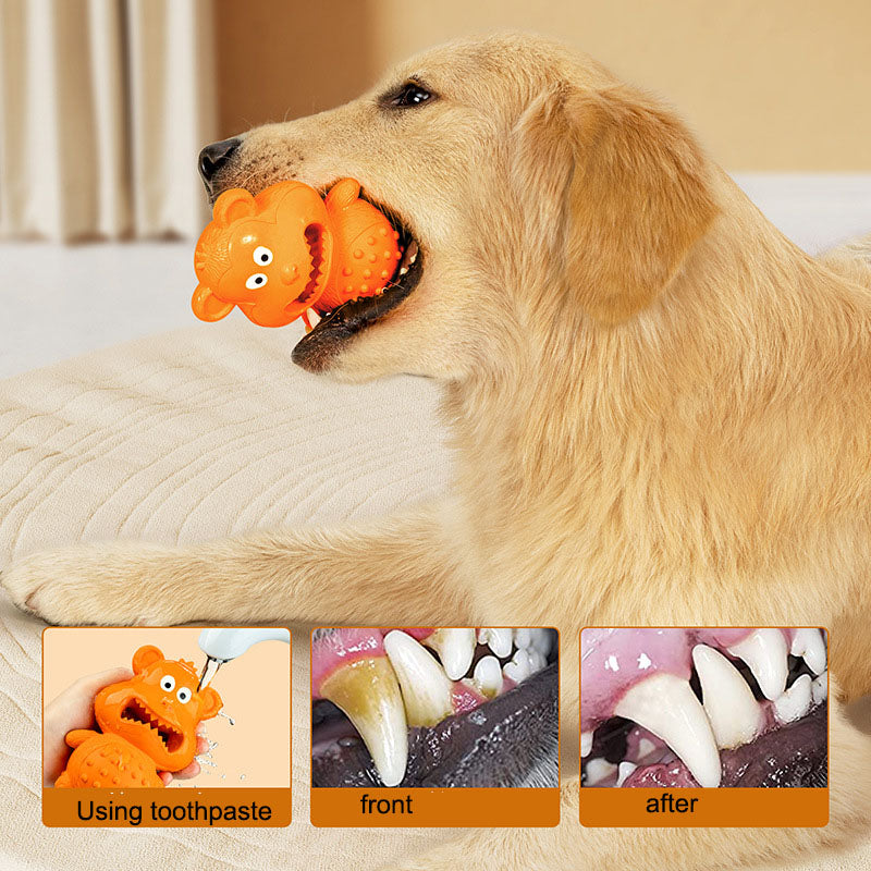 Food dispensing teether