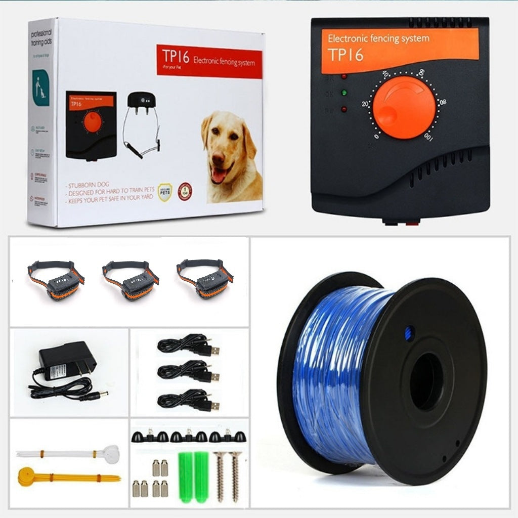 Electronic Underground Fence System