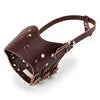 Leather Muzzle