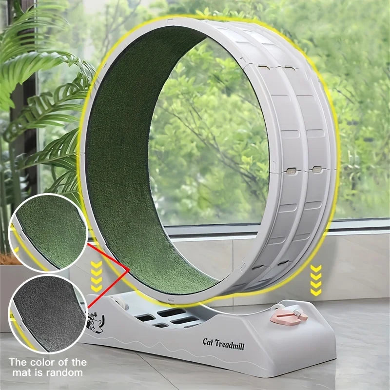 Cat Exercise Wheel