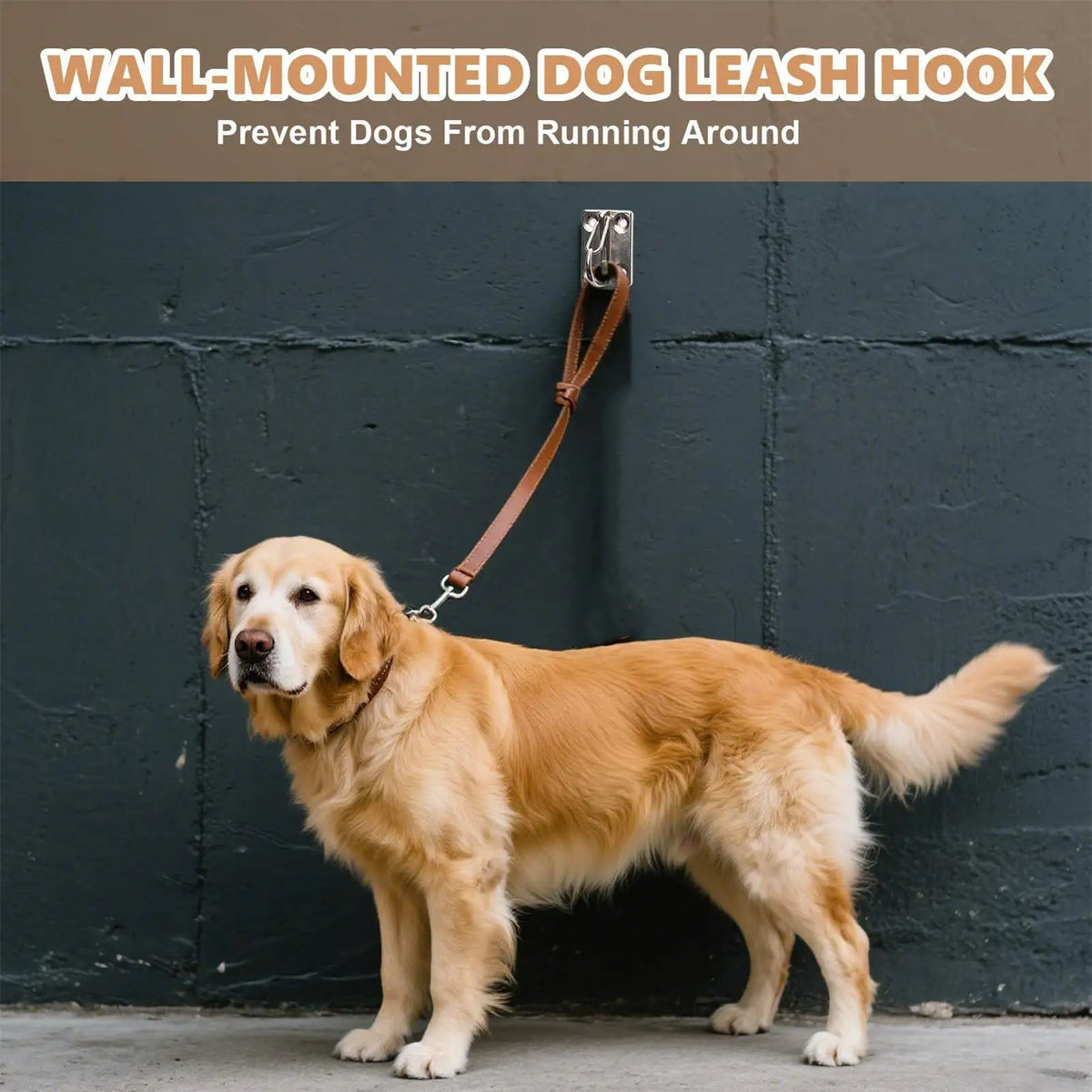 Heavy Duty Dog Lead Wall Hook
