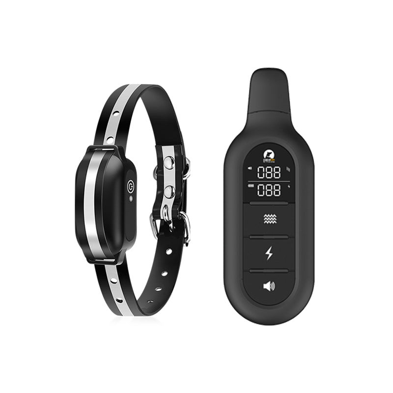 Dog Training Collar