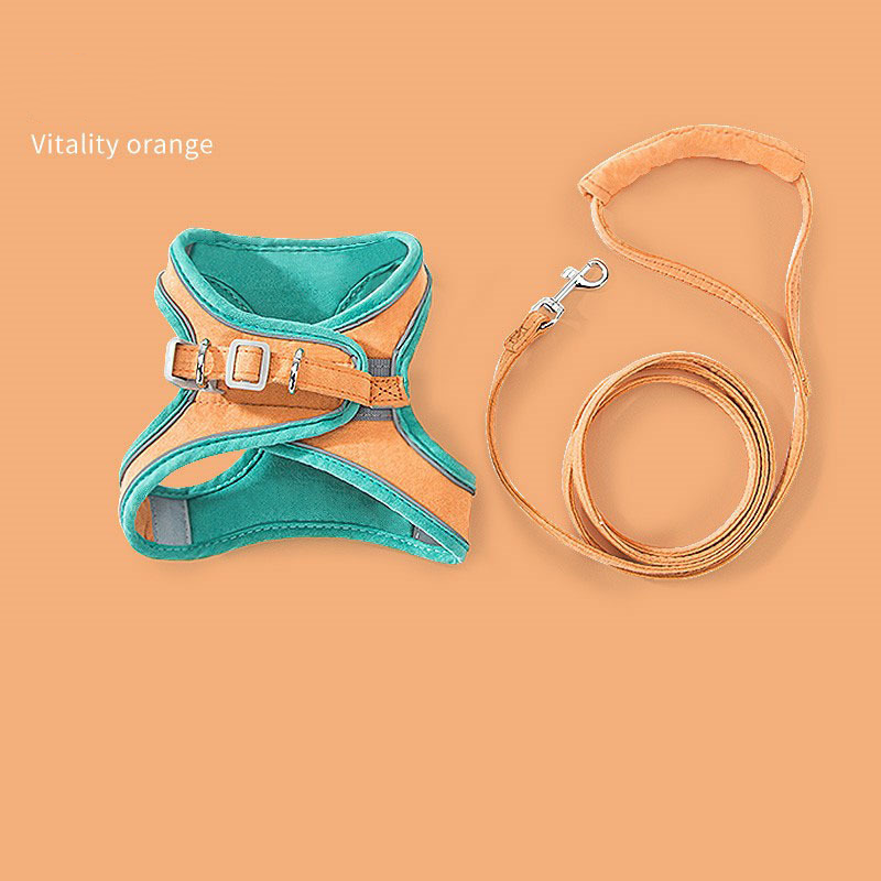 Harness/Leash Set