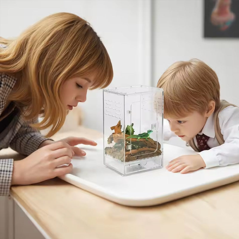 Acrylic Arachnid/Bug Enclosure