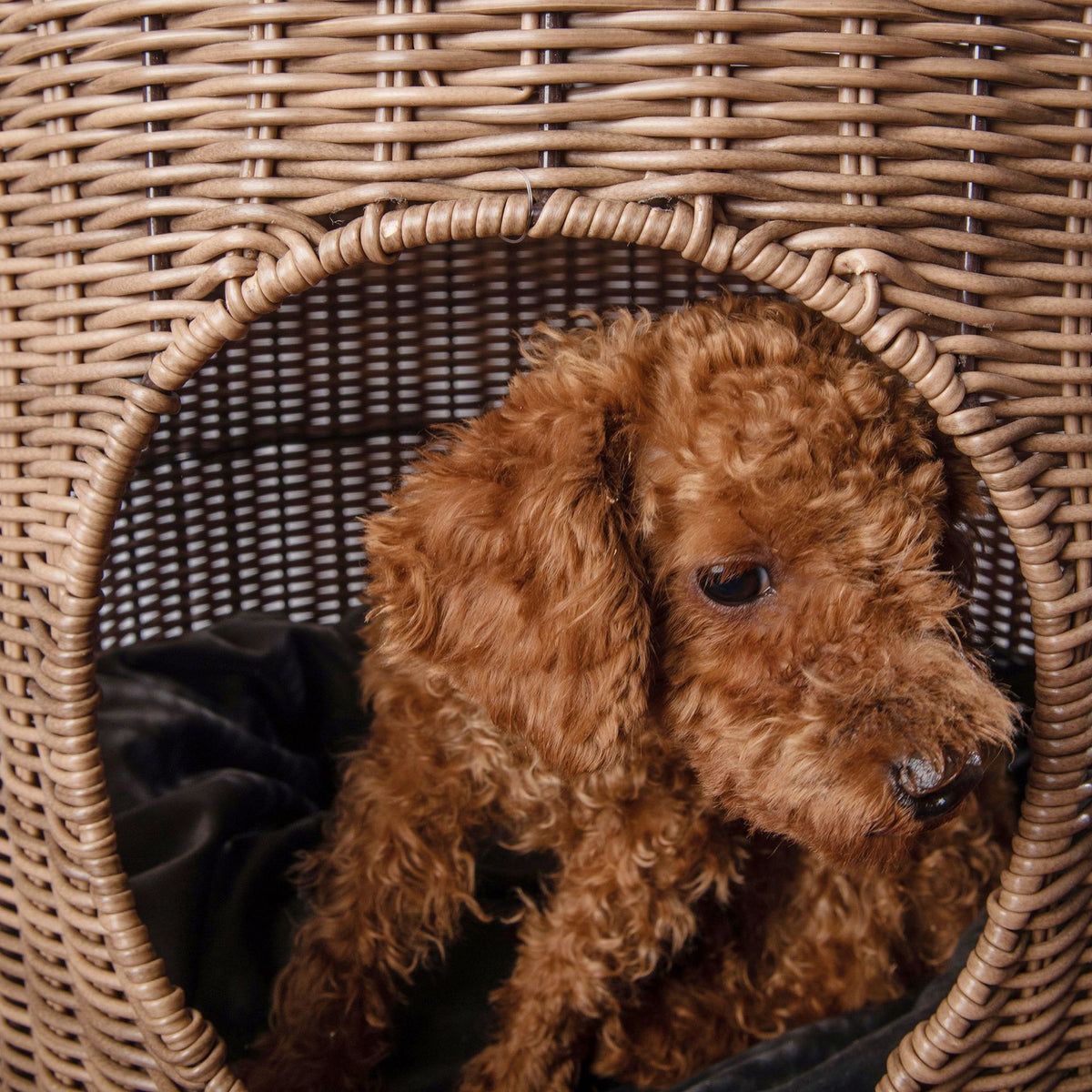 Rattan Pet Bed Side Table
