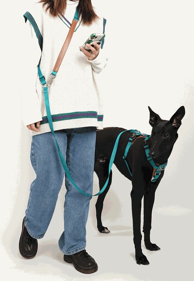 Y Front no pull harness/ Over the shoulder leash