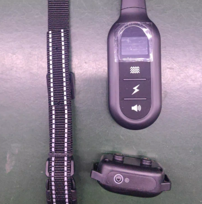 Dog Training Collar