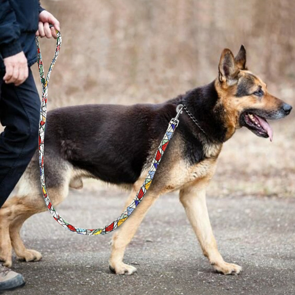 Thick Nylon 5ft Leash
