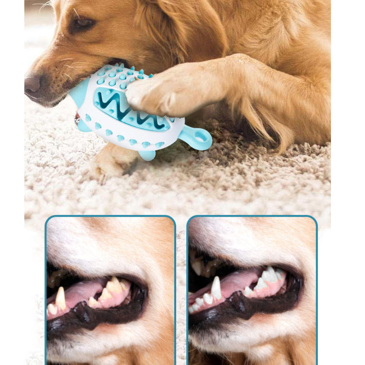 Treat Dispensing Toy