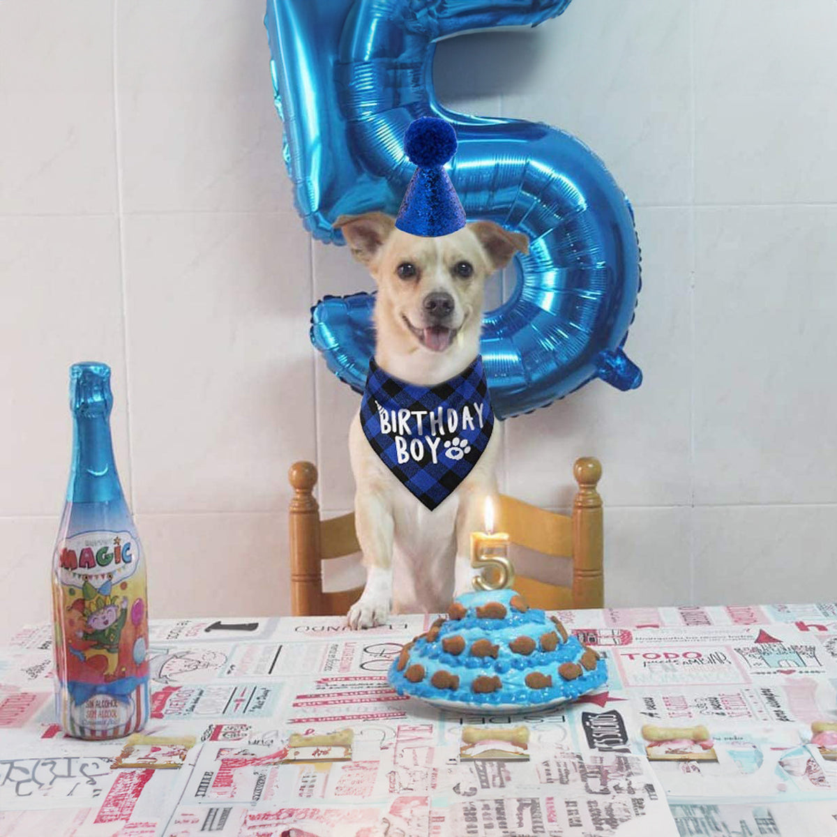 Pet Birthday Set