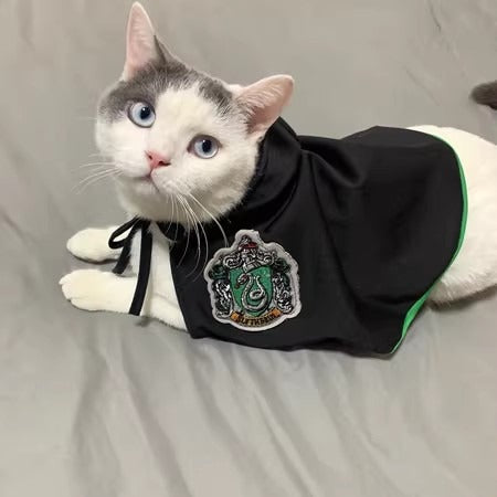Wizard Halloween Costume