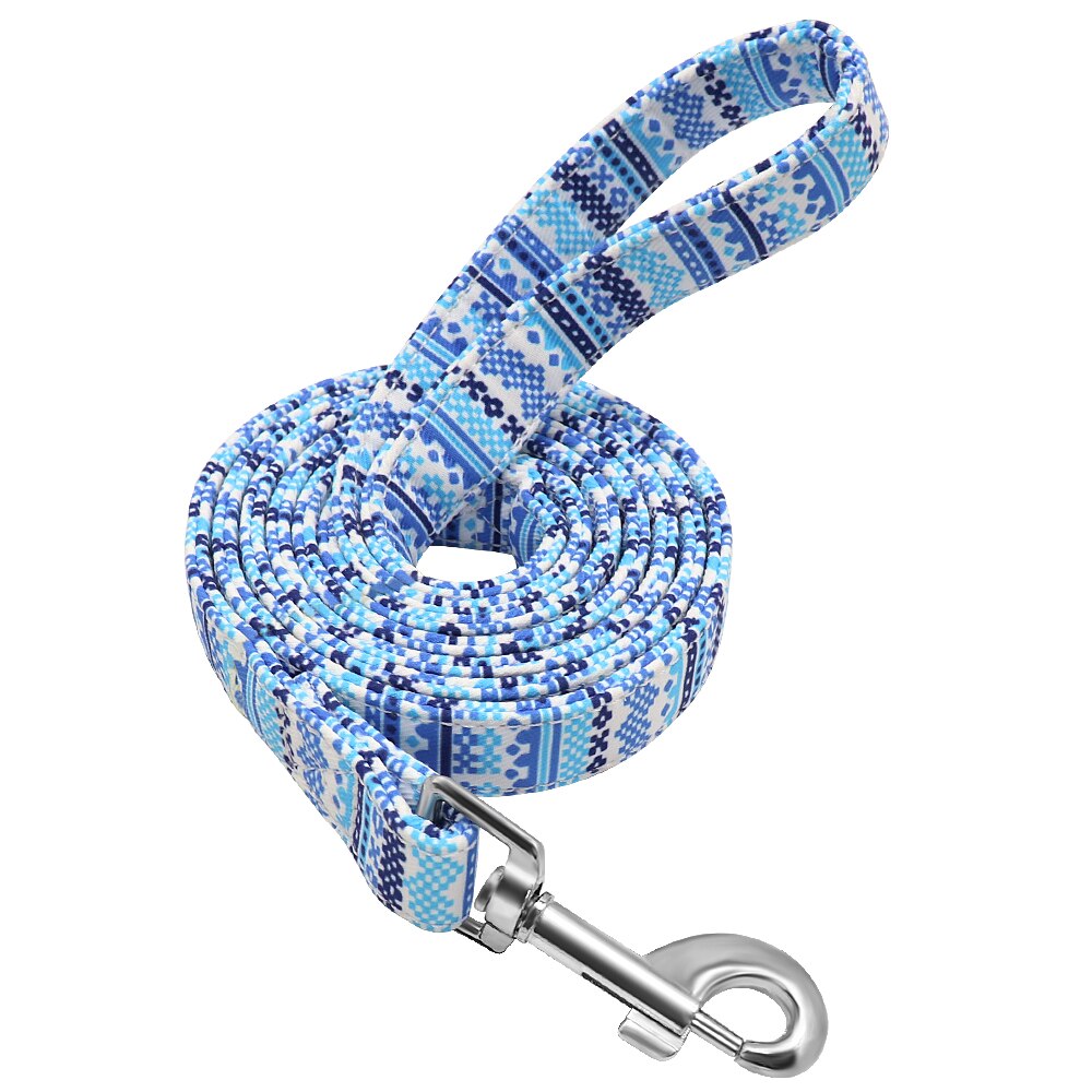 Thick Nylon 5ft Leash