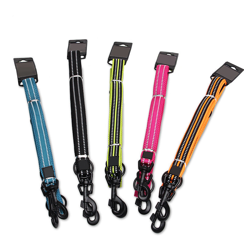 Multifunction Leash