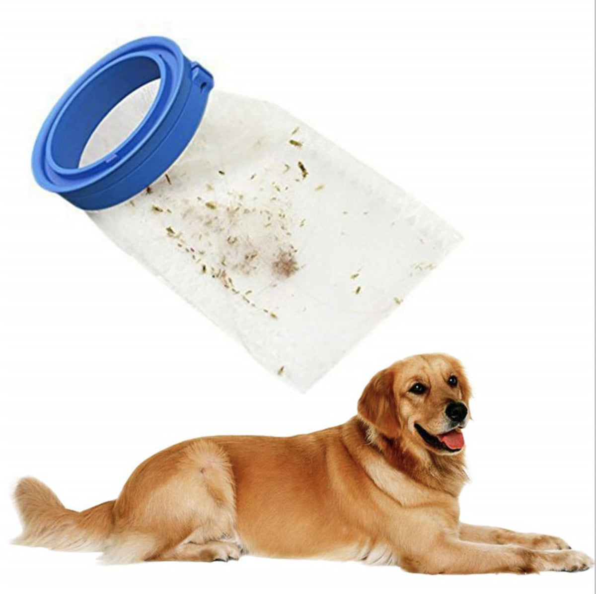 Electric Flea/Lice Comb