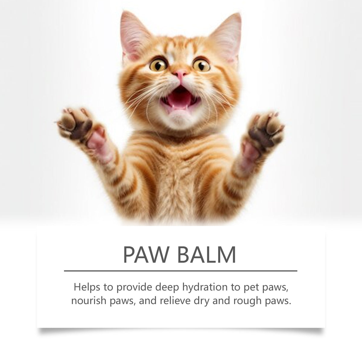 Paw Balm