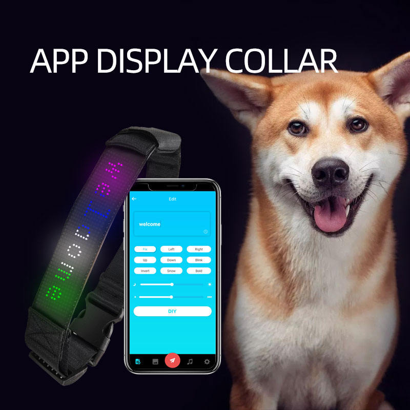 LED Editable Text Collar