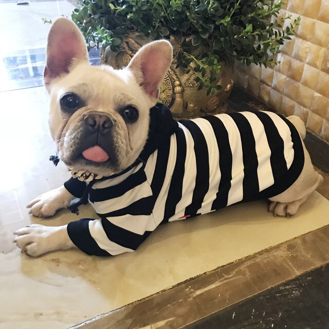 Striped Dog Hoodie