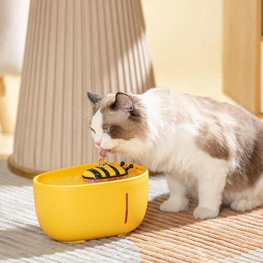Pet Water Fountain