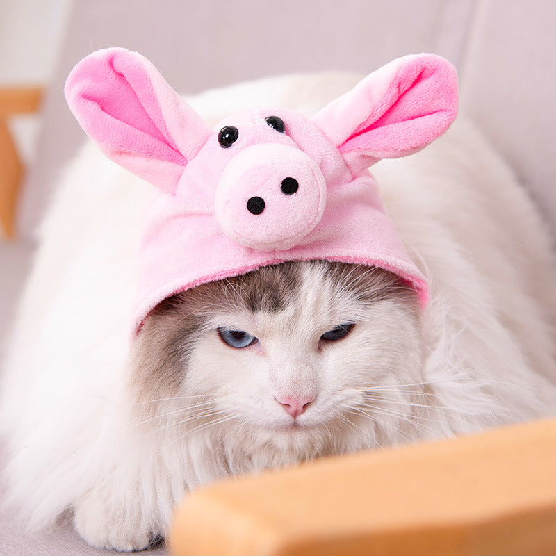 Cute Pet Hats