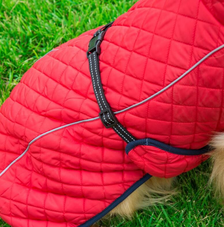 Winter Coat