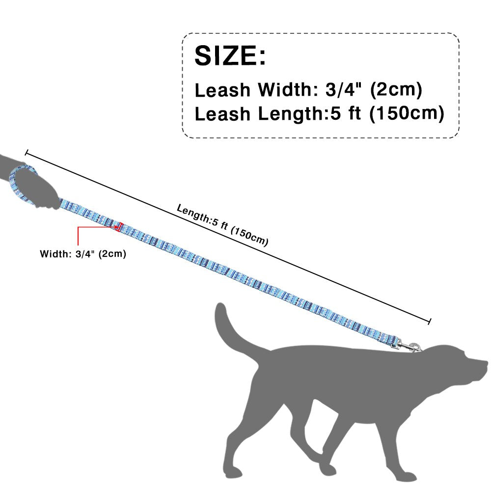 Thick Nylon 5ft Leash