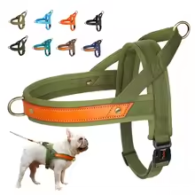 Straight Front Dog Harness