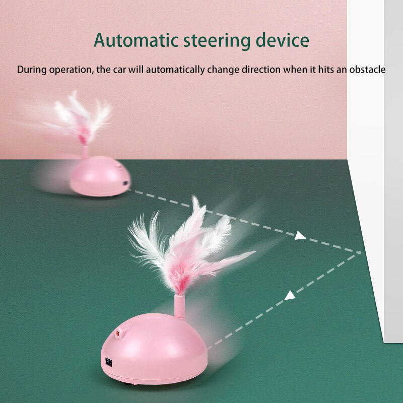 Roaming Cat toy with feather and laser