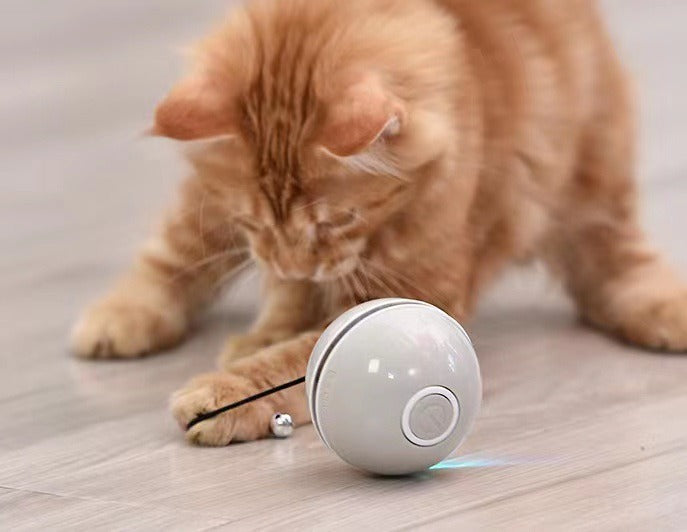Automatic Rolling Cat Toy