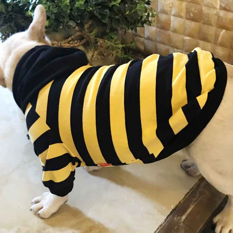 Striped Dog Hoodie