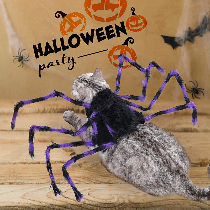 Spider Halloween Costume