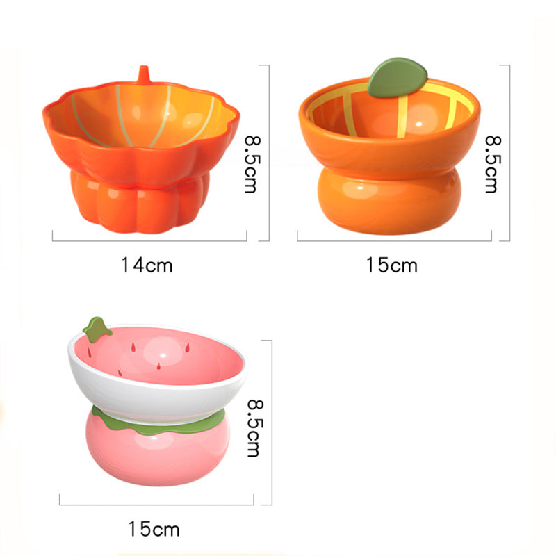 Ceramic Raised Food/Water Bowl