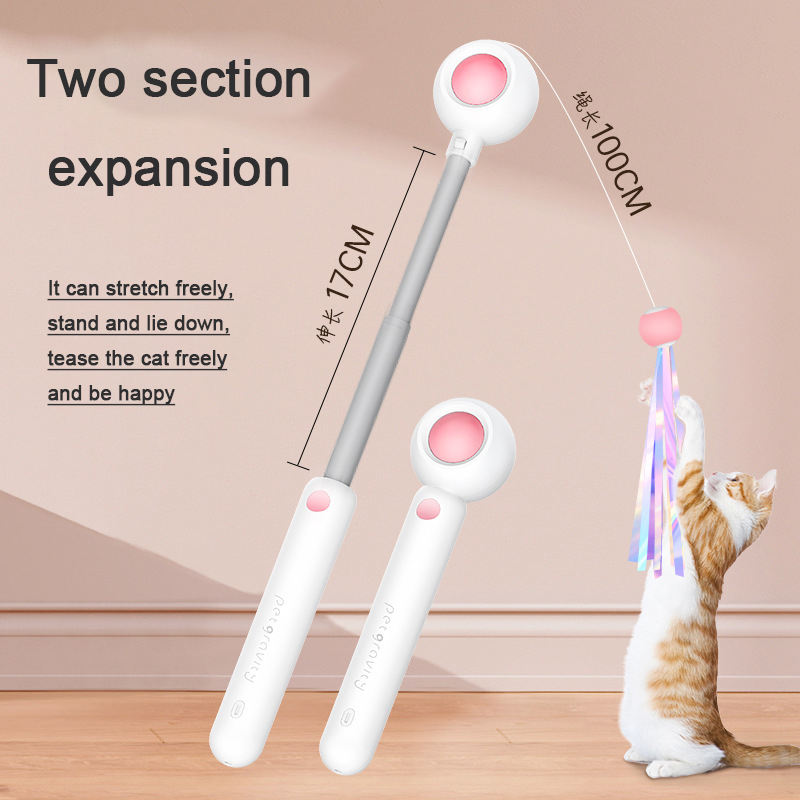 Cat Wand Toy with Laser