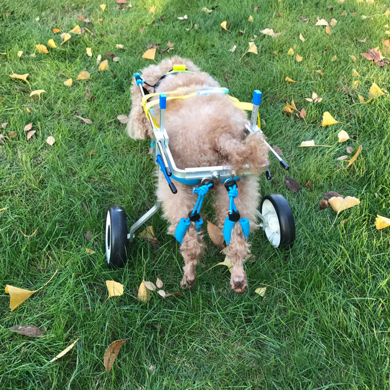 Lightweight 2 Wheel Dog Wheelchair