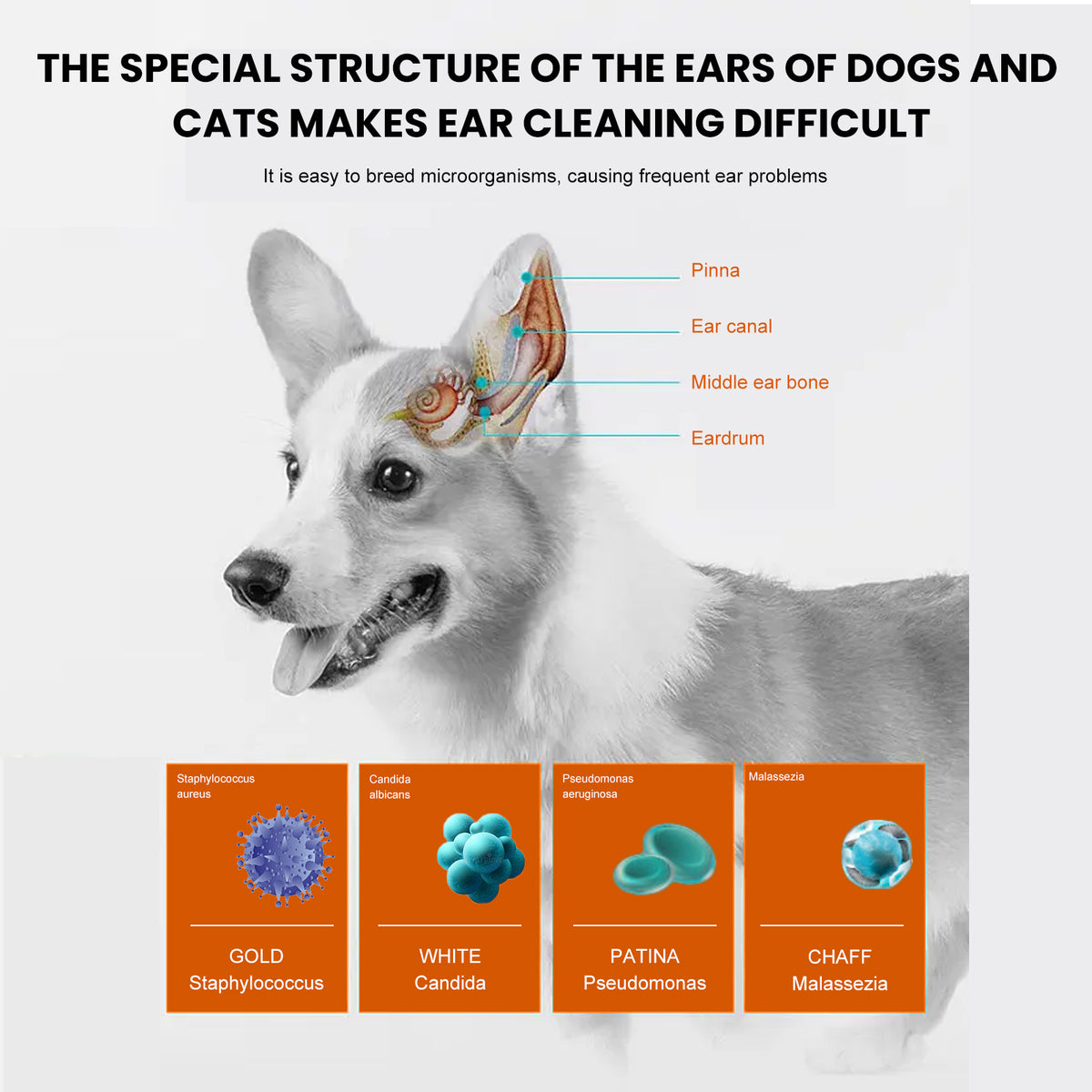 Ear Cleaning Wipes