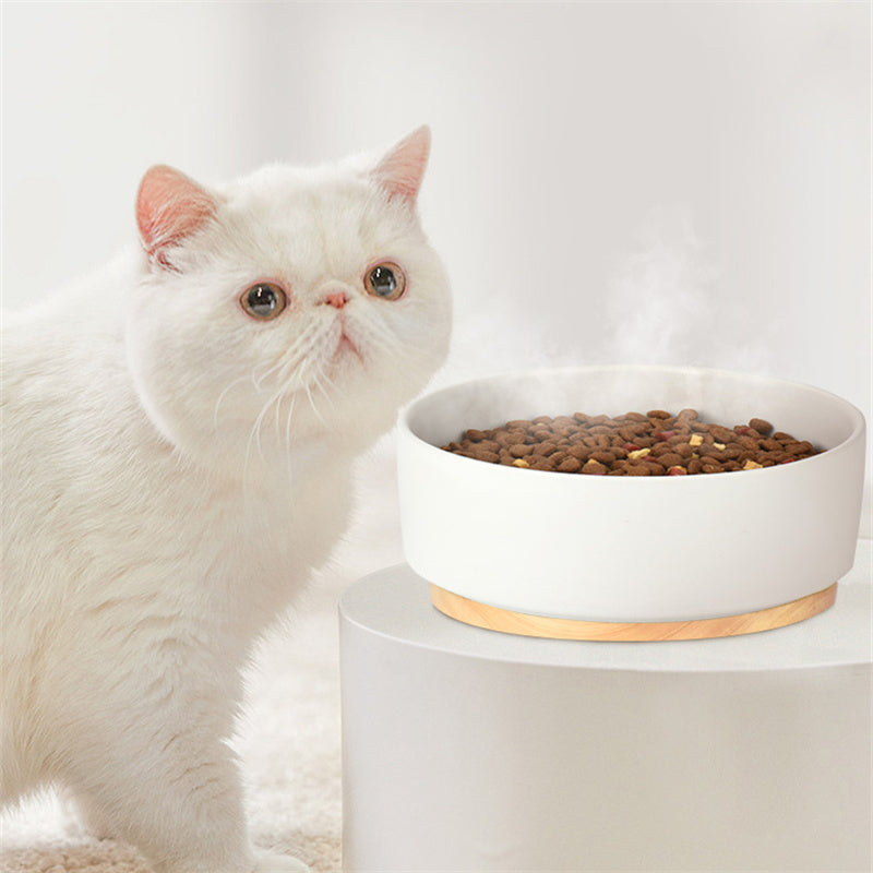 Ceramic Heated Water Bowl