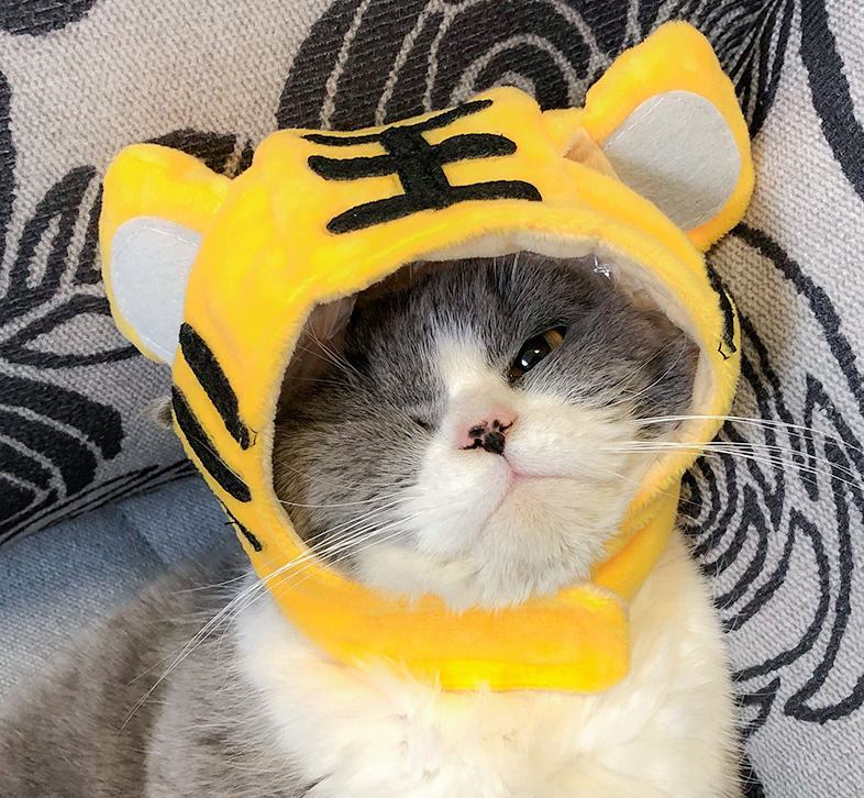 Cute Pet Hats