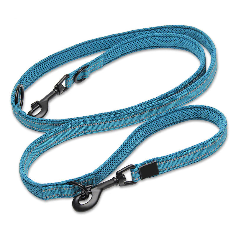 Multifunction Leash